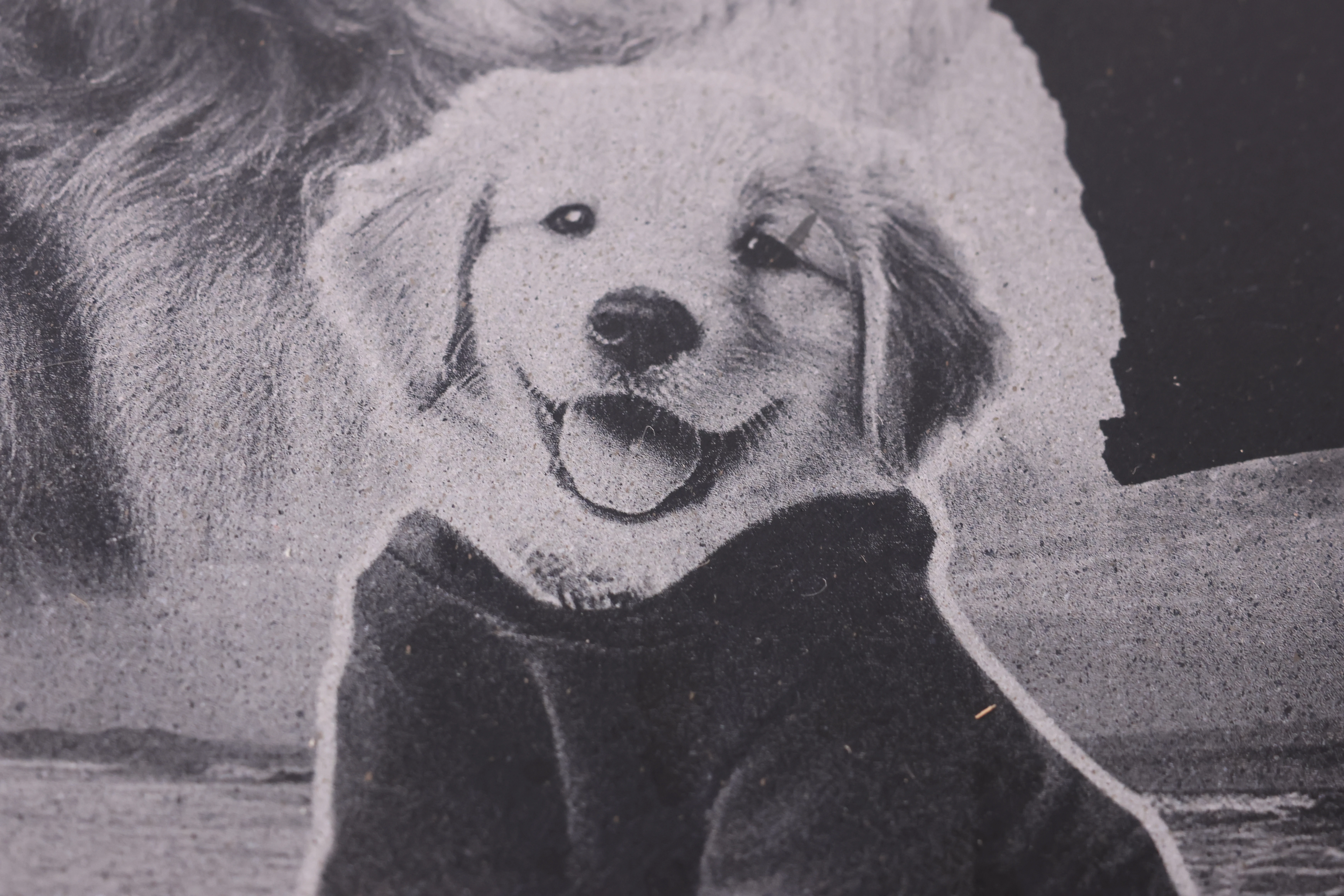 Láser grabado perro imagen en mármol con gran detals
