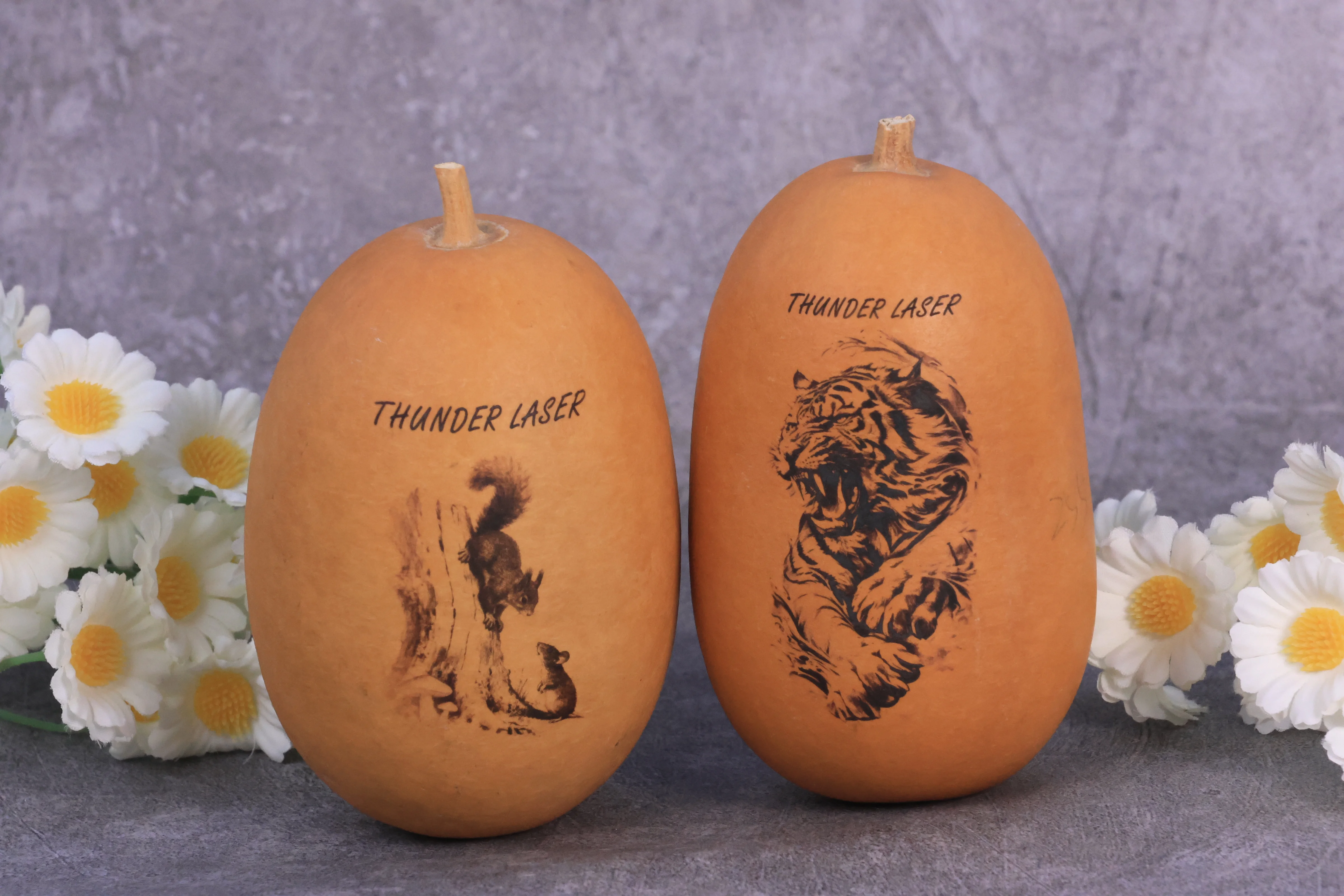 laser marked gourd